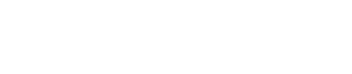 PROFI-SEC — Security & Crowdmanagement